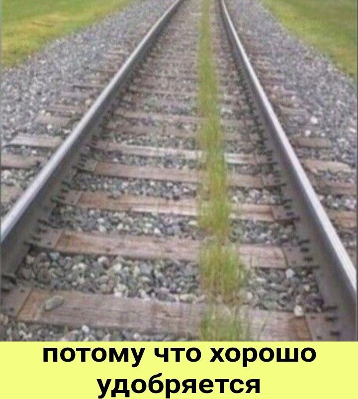 потому что хорсішо доб яется