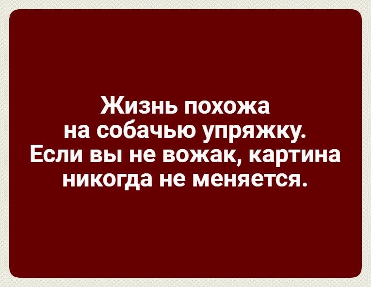 Жизнь похожа на собачью упряжку ЕСЛИ ВЫ не вожак КЗРТИНЗ никогда не МЭНЯЁТСЯ