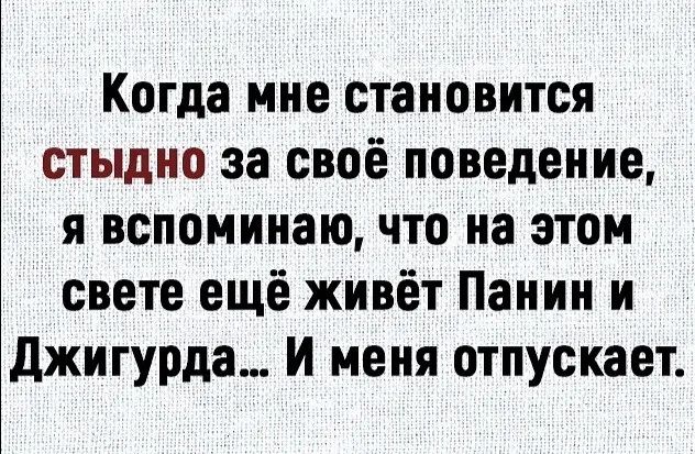 Когда мне становится стыдно за своё поведение я вспоминаю что на этом свете ещё живёт Панин и джигурда И меня отпускает