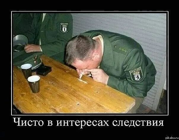 Чисто в интересах следствия