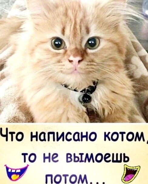 ЧТО написано котом ТО не ВЫМОСШЬ ПОТОМ