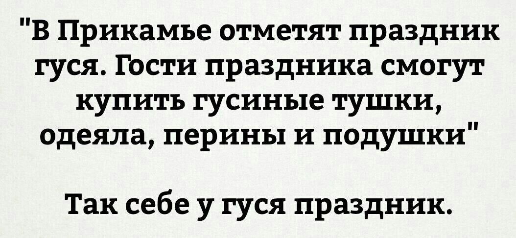 В Прикамье отметят праздник гуся Гости праздника смогут купить гусиные тушки одеяла перины и подушки Так себе у гуся праздник