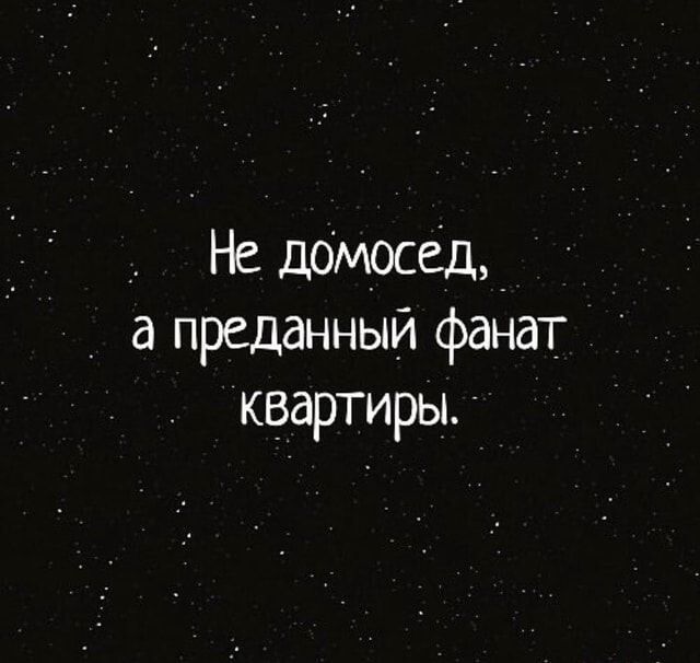 7 Не домосед а преданный фанат квартиры