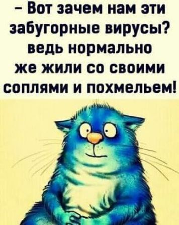 Вот зачем нам эти забугорные вирусы ведь нормально же жили со своими соплями и похмельем