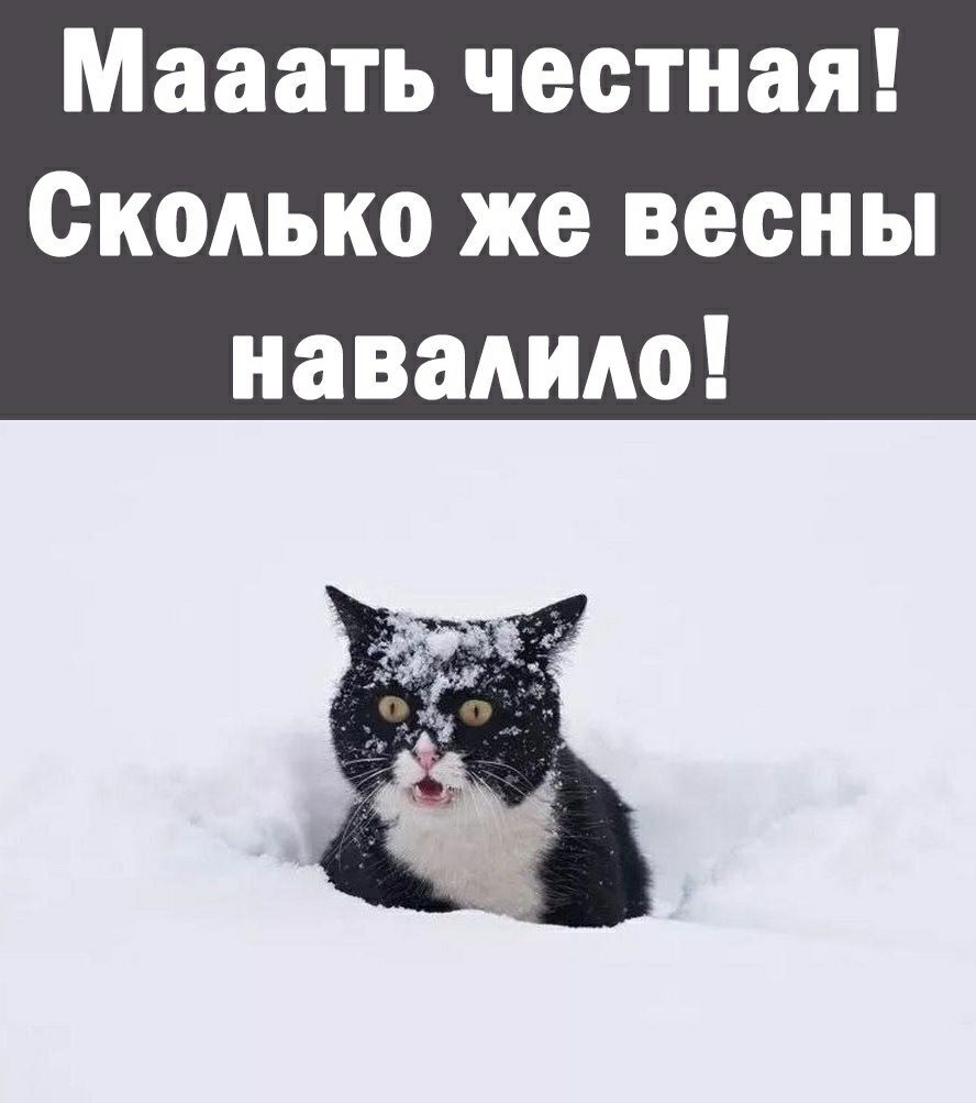 Мааать честная Сколько же весны навалило