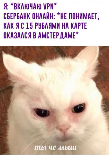 Я ВКАЮЧАЮ РК СБЕРБАНК ПНААКН НЕ ППИИМАЕТ КАК Я 15 РНБАЯМИ НА КАРТЕ ПКАЗААСЯ В АМВТЕРДАМЕ