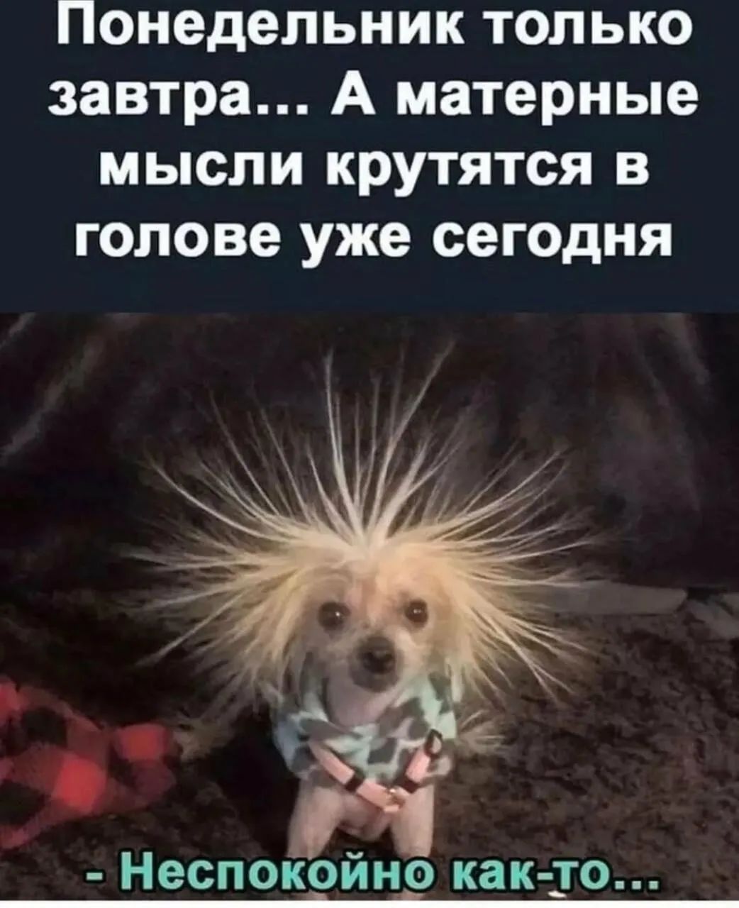 Понедельник только завтра А матерные мысли крутятся в голове уже сегодня Неспокойно как _то