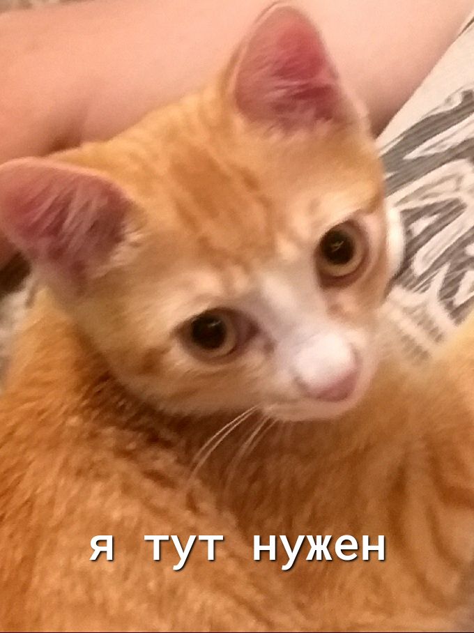 тут нужен а