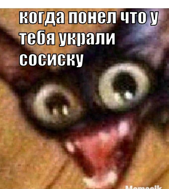 всгда понел что тебя чнпапи сосиску _ о г __ п ___
