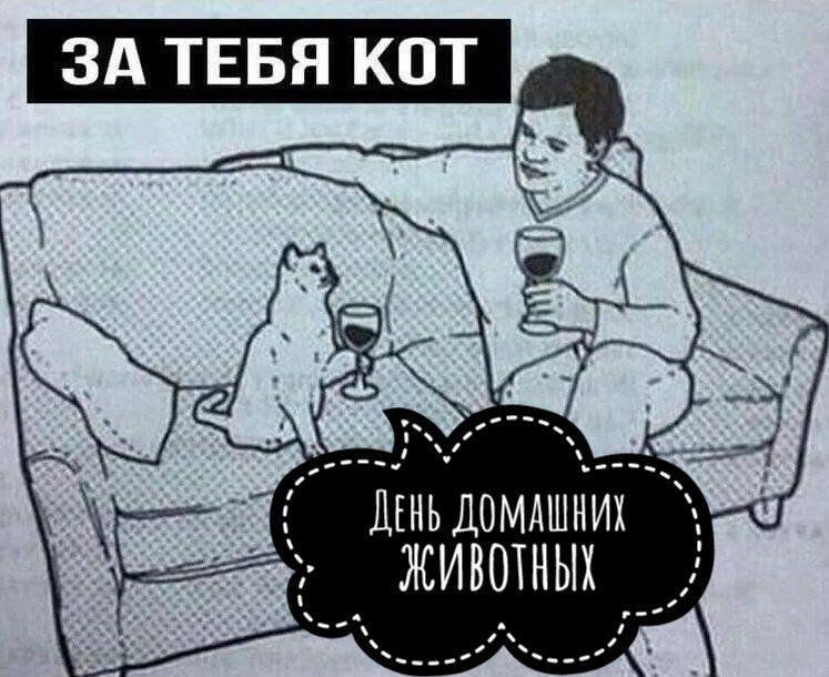 ЗА ТЕБЯ КОТ ЛЬ домиших ЖИВОТНЫХ й