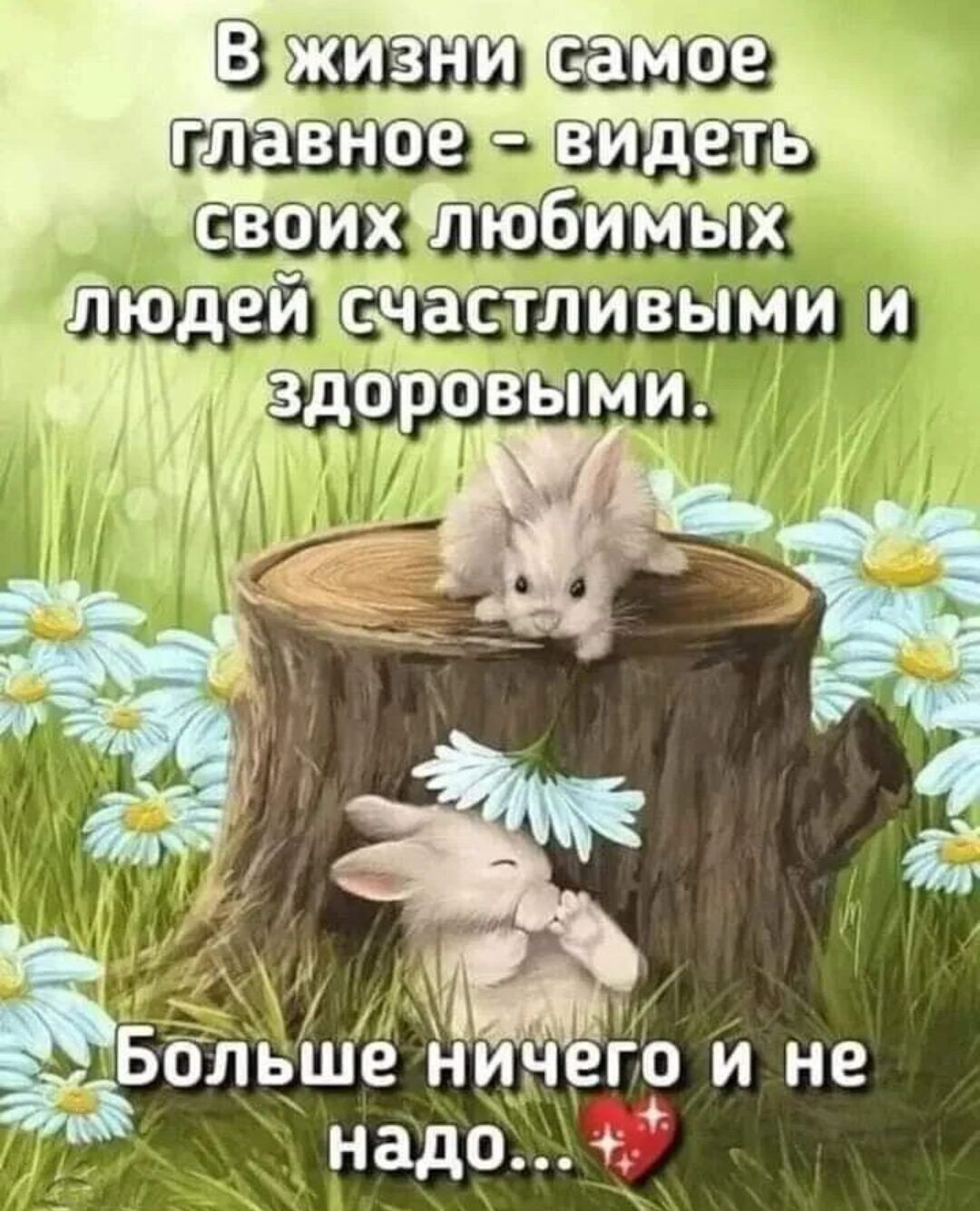 видеть СЁШ