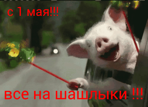 всенаш