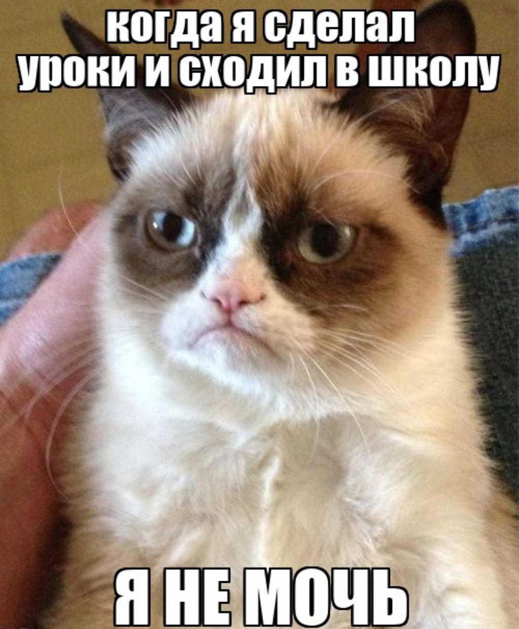 когда Я сделал ШЮНИ И сходил В ШШШ