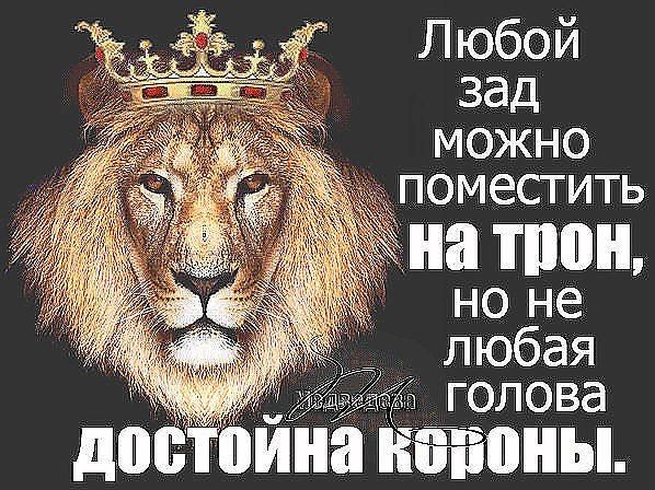 Л юбо й зад можно поместить на июн но не любая голова давтвина тины
