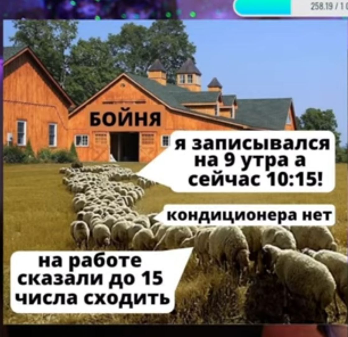 я записывался на 9 утра а сейчас 1015 на ра оте сказали до 15 числа сходить