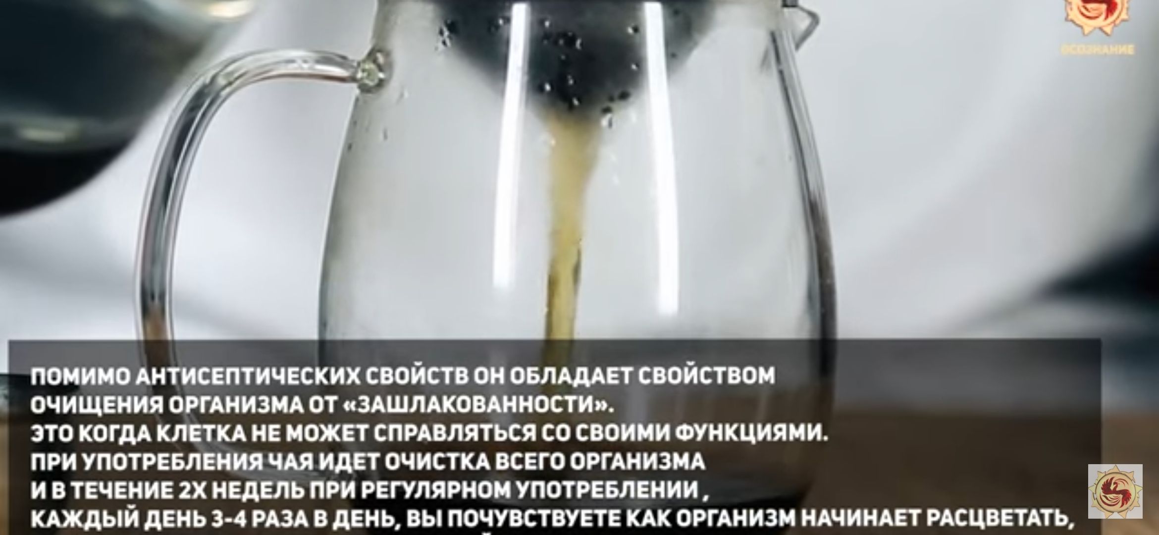 ПОМИМО АНТИСЕПТИЧЕСКИХ СВОЙСТВ ОН ОБЛАДАЕТ СВОИСТ ВОМ ОЧИЩЕНИЯ ОРГАНИЗМА ОТ ЗАШЛАКОВАН НОСТИ ЗТО КОГДА КЛЕТКА НЕ МОЖЕТ СПРАВЛЯТЬСЯ СО СВОИМИ ФУНКЦИЯМИ ПРИ УПОТРЕБЛЕНИЯ ЧАЯ ИДЕТ ОЧИСТКА ВСЕГО ОРГАНИЗМА И В ТЕЧЕНИЕ 2х НЕДЕЛЬ ПРИ РЕГУЛЯРНОМ УПОТРЕБЛЕНИИ КАЖДЫЙ дЕНЬ 3 4 РАЗА В дЕНЬ ВЫ ПОЧУВСТВУЕТЕ КАК ОРГАНИЗМ НАЧИНАЕТ РАСЦВЕТАТЬ
