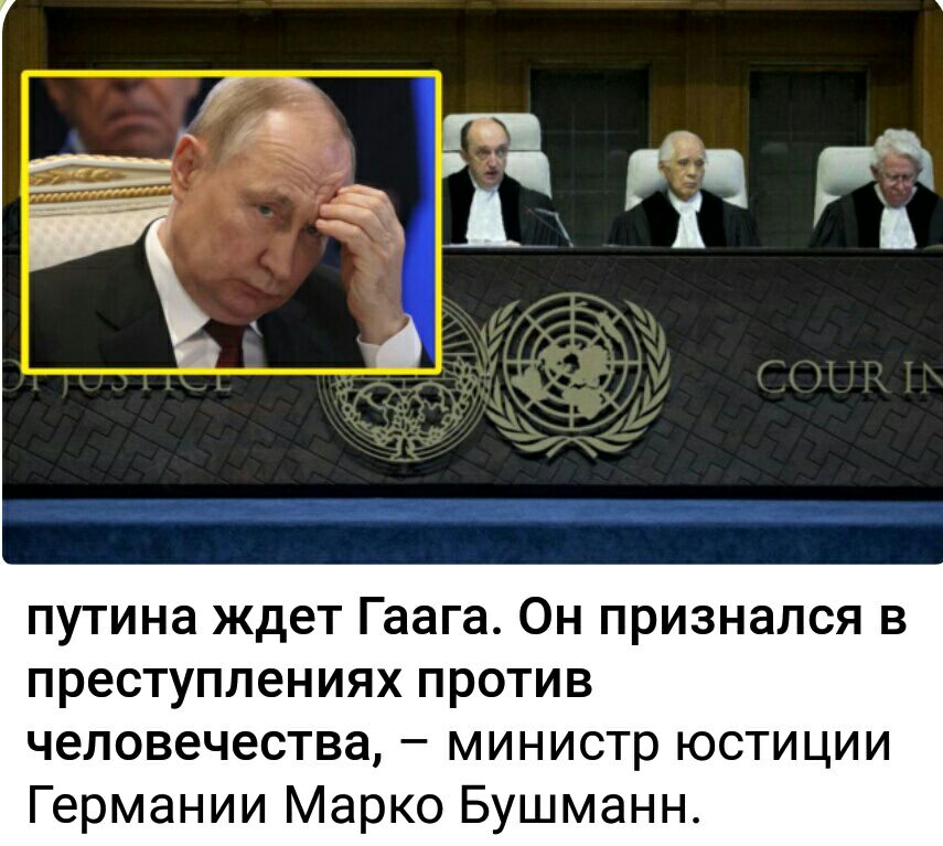 путина ждет Гаага Он признался в преступлениях против человечества министр юстиции Германии Марко Бушманн