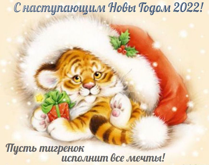 С наступающимм 'новы тодом 2022!