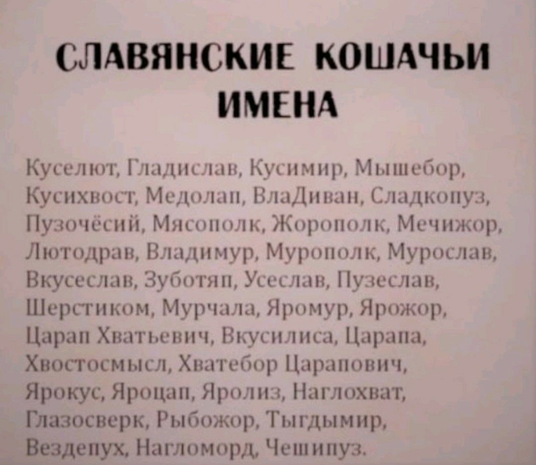 СЛАВЯНСКИЕ КОШАЧЬИ ИМЕНА Куколки 1п1т1п Кук нмир ппшцир Кусихшшг Мсдшішн Ніыдшшп Сшппдун Пумщшиіі Мншпшш Кпрпппчк Мсчижпр Лютодрын Впшур Мурпшщк Мурпслцп Вкусослцп Зуботнц Уьщхшн Пул слив Шсрсгикпм Муршящ Яртчур Ярпжпр Царап Хвамович Вкусилищ Царица Хвостосмысл Хшггсбпр Ццрапшшч Ярокус Яроцап Ярылин Наглхват Г лазосверк Рыбожор Тыгдымир Вездепух Нагломирд Чешипуз