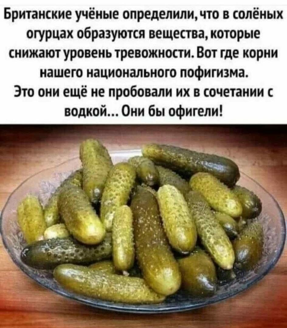 Британские учёные определиличто в солёных огурцах образуются вещества которые снижают уровень тревожности Вот где корни нашего национального пофигизма Это они ещё не пробовали их в сочетании с водкой Они бы офигели