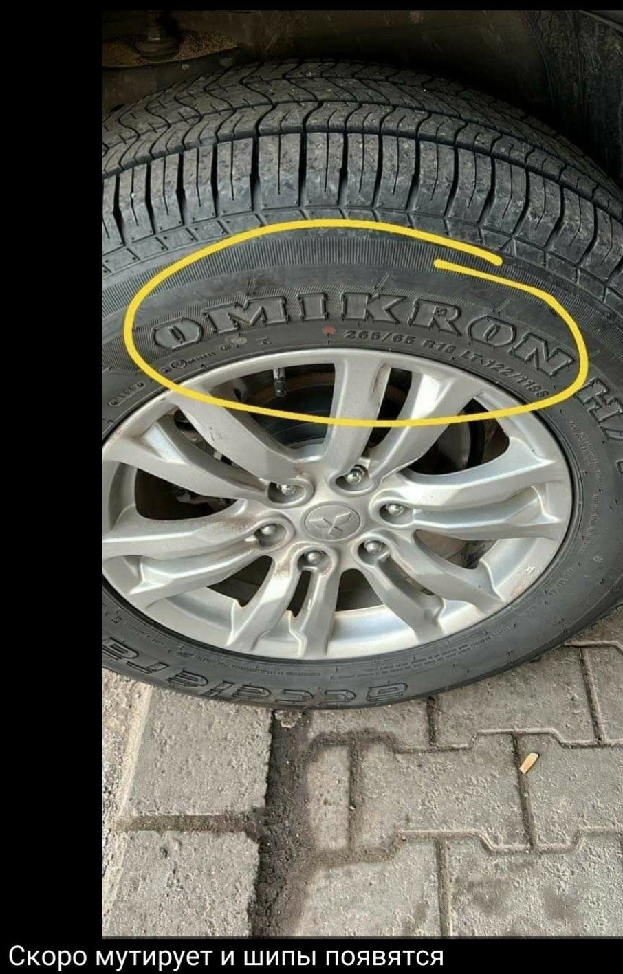 Й  скоро мутирует и шипы появятся