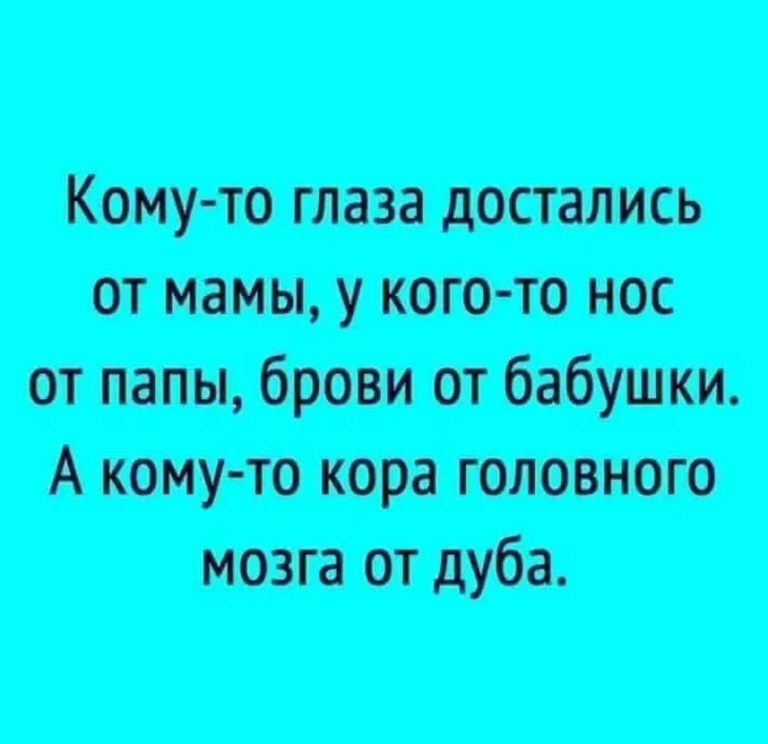 Кип птн ищут пив пищит ит Атт
