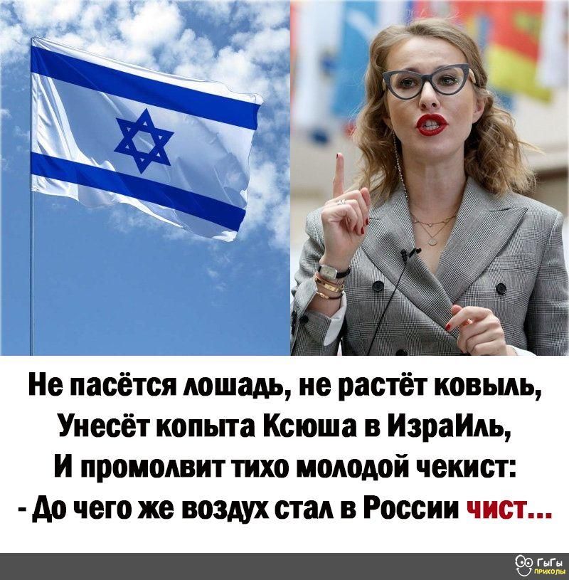 Унесёт копыта Ксюша в ИзраИдь и промодвит тихо молодой чекист до чего же воздух стал в России чист