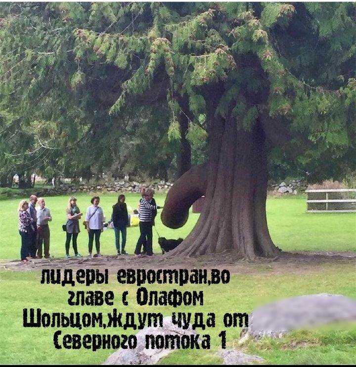 Шопщоцжшт чуда оп Северищлщііокп