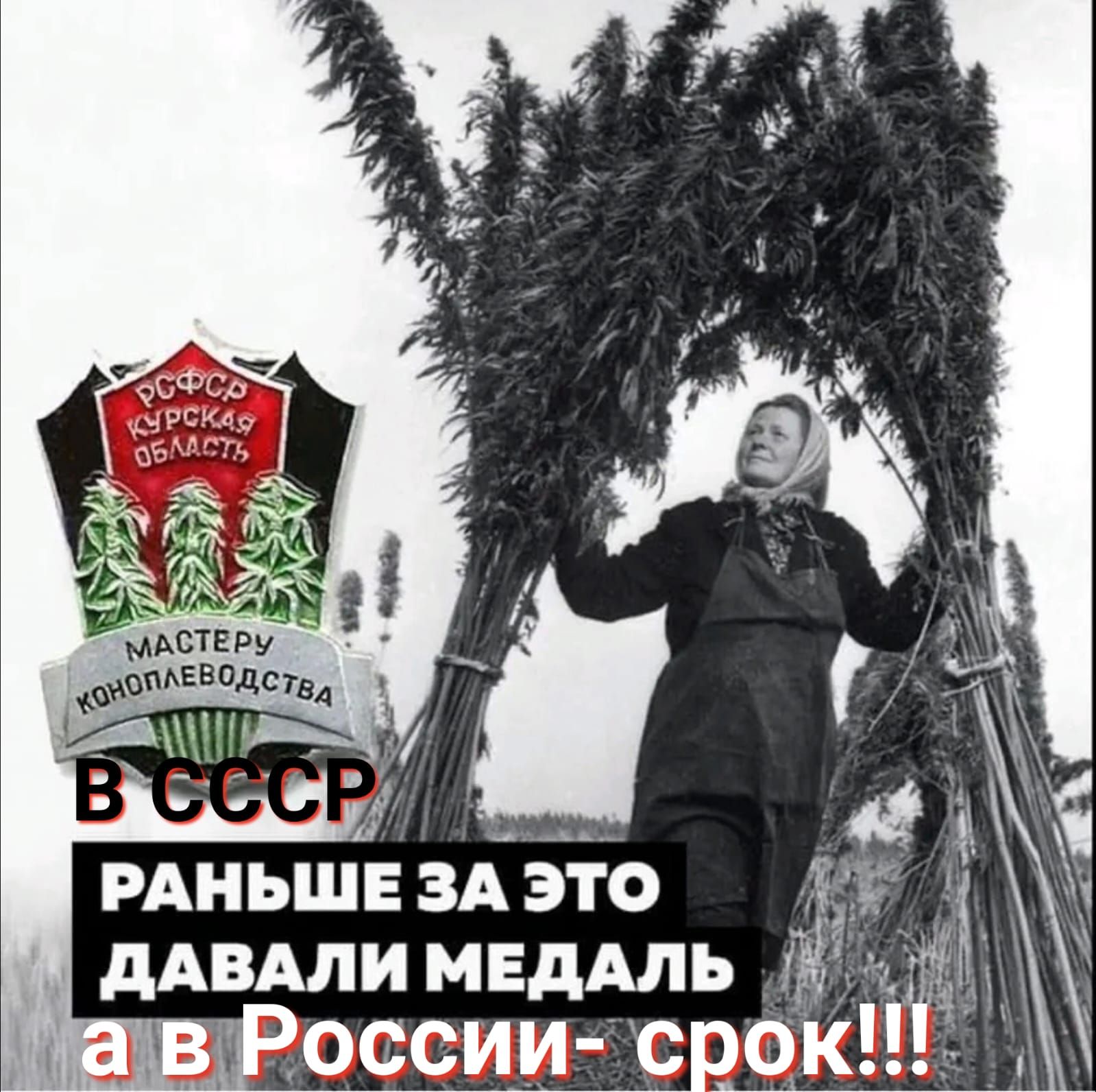 вру наведет