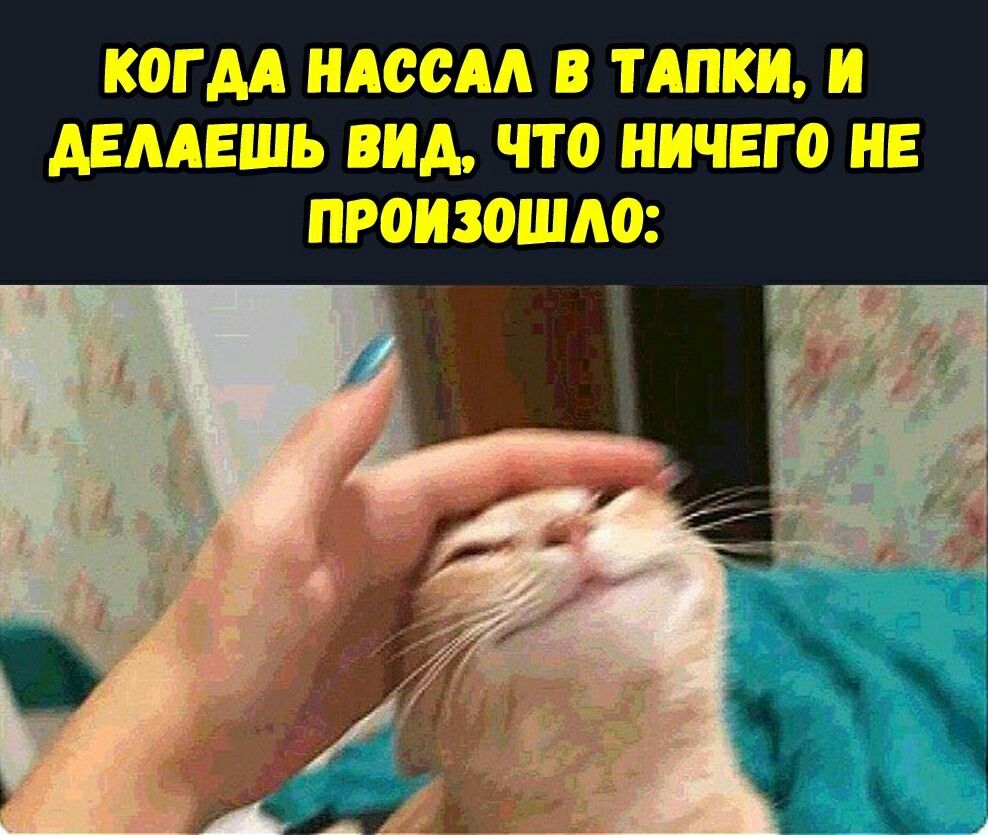 КОГДА НАССАА В ТАПКИ И АЕААЕШЬ ВИА ЧТО НИЧЕГО НЕ ПРОИЗОШАО