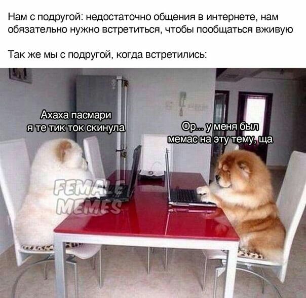 Нам с подругой недостаточно общения в интернете нам обязательно НУЖНО встретиться чтобы пообщаться вживую Так же мыс подругой когда встретились Ахаха пасмари 1 е тик ток скинупа