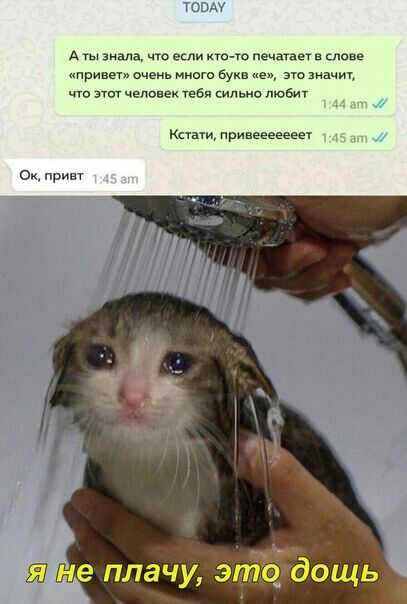 тому А ты этапа чт если ктою печагаег в слове привет мень мнит букв е эш иачи чт этот человек тебя синью любит пт 1 Каши принесеееееч а и ОК принт Кёниг плачу эт дощь