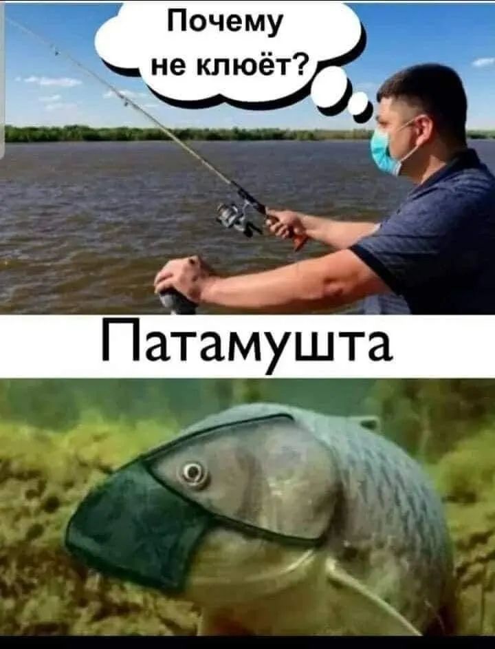 Почему не клюёт
