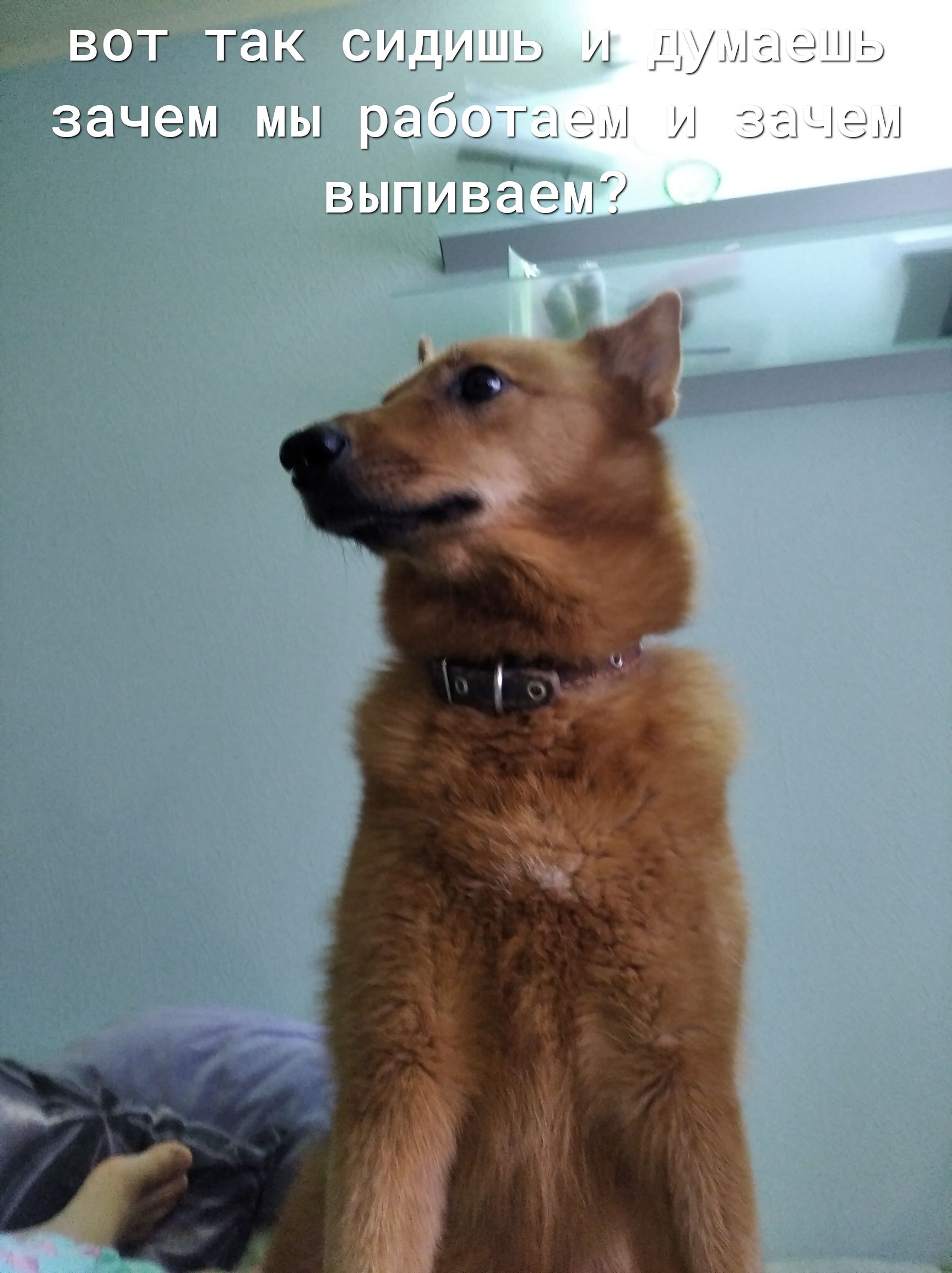 3 916 и Ь