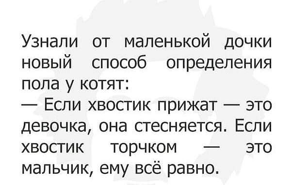 Узнали от маленькой дочки новый способ определения пола у котят Если хвостик прижат это девочка она стесняется Если хвостик торчком это мальчик ему всё равно