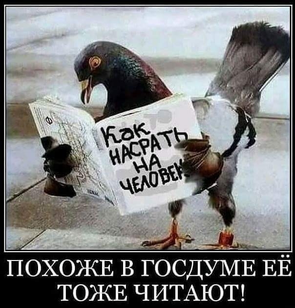 ПОХОЖЕ В ГОСДУМЁ ЕЁ ТОЖЕ ЧИТАЮТ
