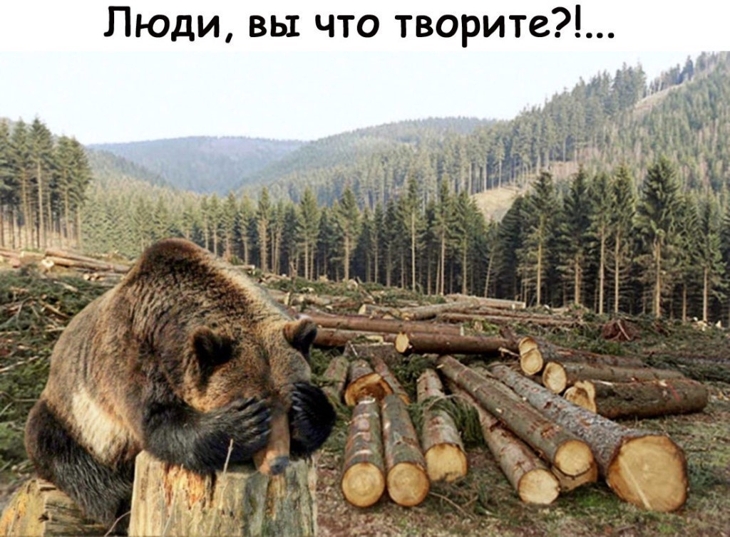 Люди вы что творите