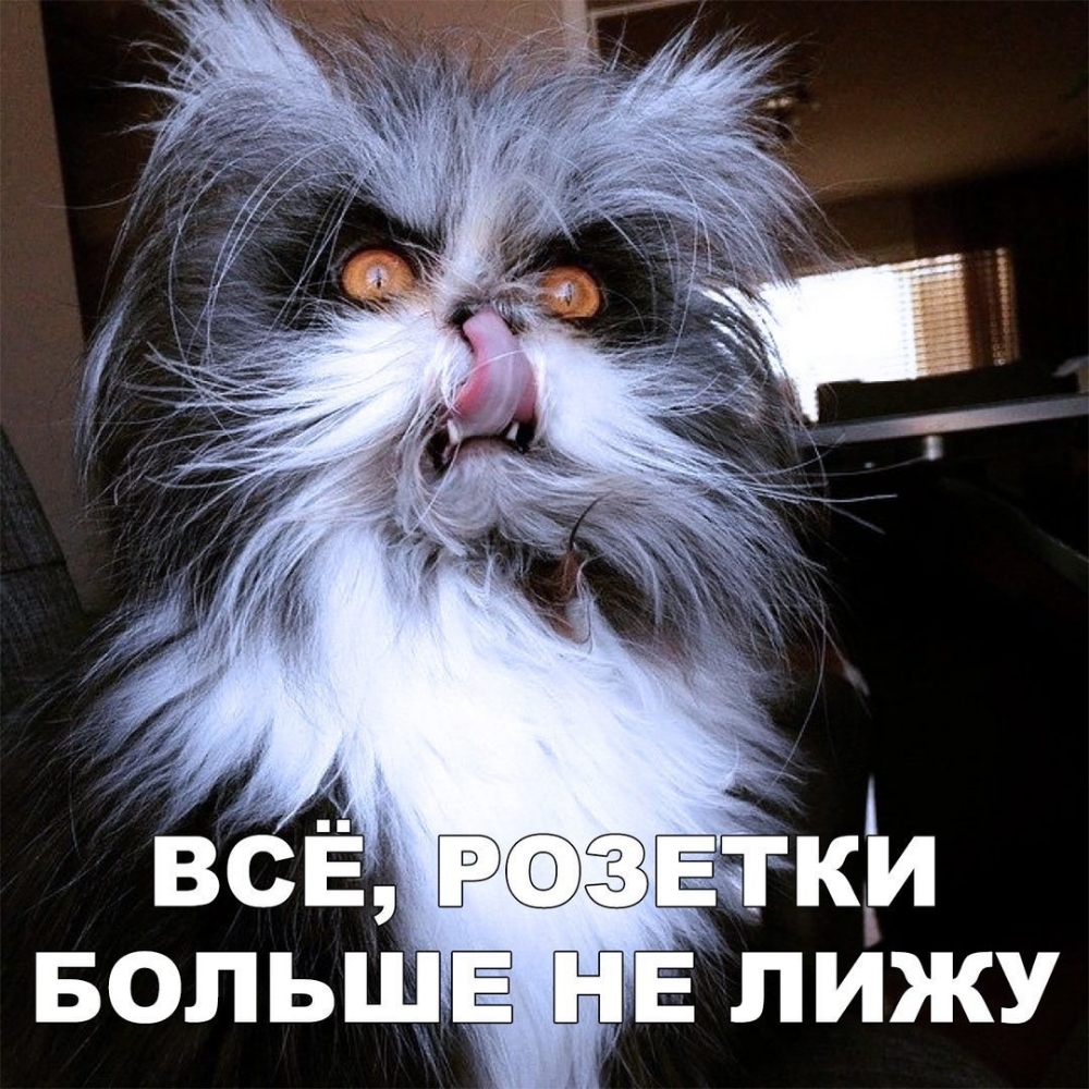 ВСЁ ЕчТКИ БОЛЬШЕ НЕ ЛИЖУ