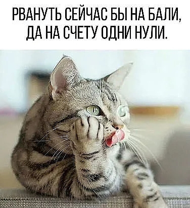 РВАНУТЬ СЕЙЧАС БЫ НА БАЛИ дд Нд СЧЕТУ ОДНИ НУЛИ