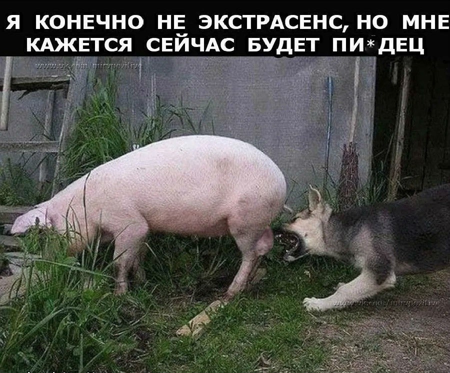 Я КОНЕЧНО НЕ ЭКСТРАСЕНС НО МНЕ КАЖЕТСЯ СЕИЧАС Б ДЕТ ПИДЕЦ _