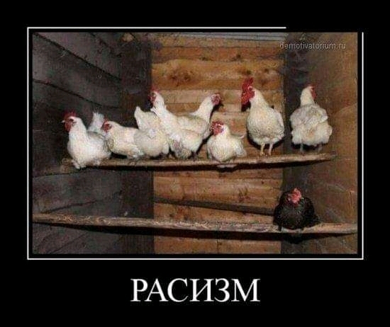 Йгптшашпип РАСИЗМ