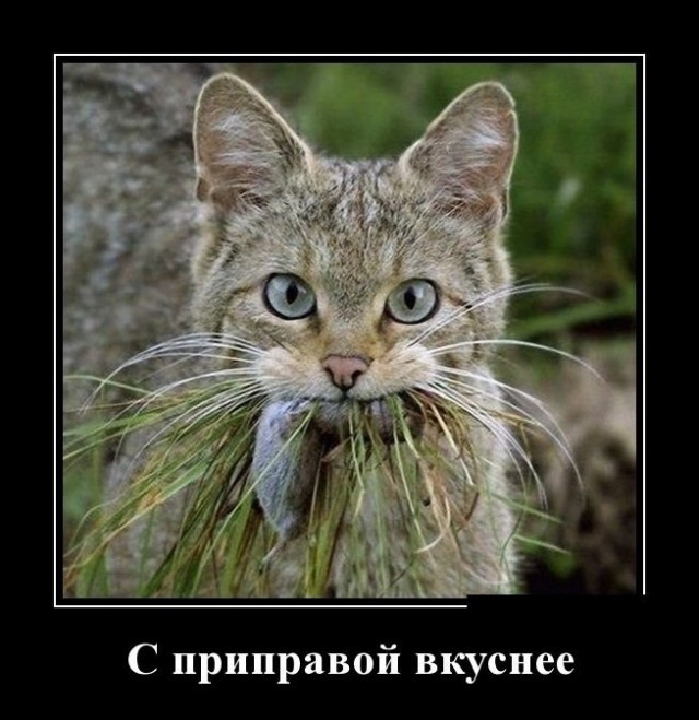 С приправой вкуснее