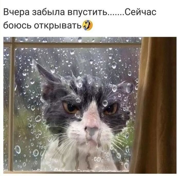 Вчера забыла впустить Сейчас боюсь открывать 0