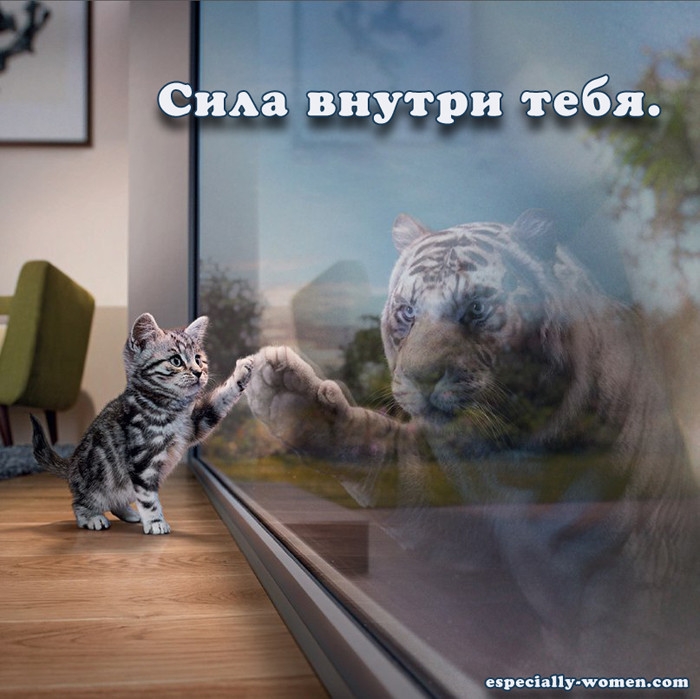 пріеідпутош пдош