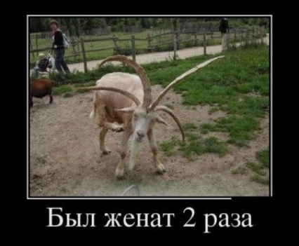 Был женат 2 раза