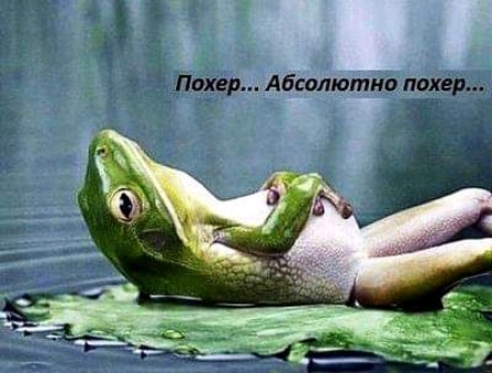 Покер Абсолютно покер