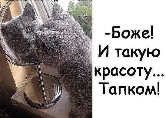 Боже И такую красоту Тапком