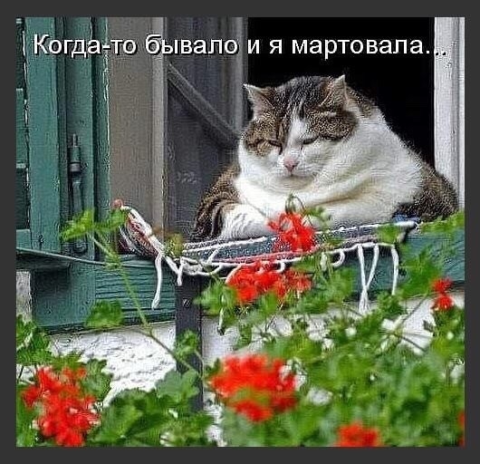 ТВЭЛОЁИ Я мартовапа