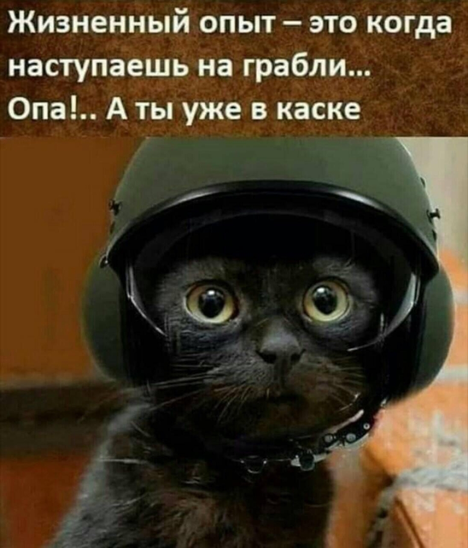 Жизненный опыт это когда наступадщдна грабли Опа А ты уже в касКе