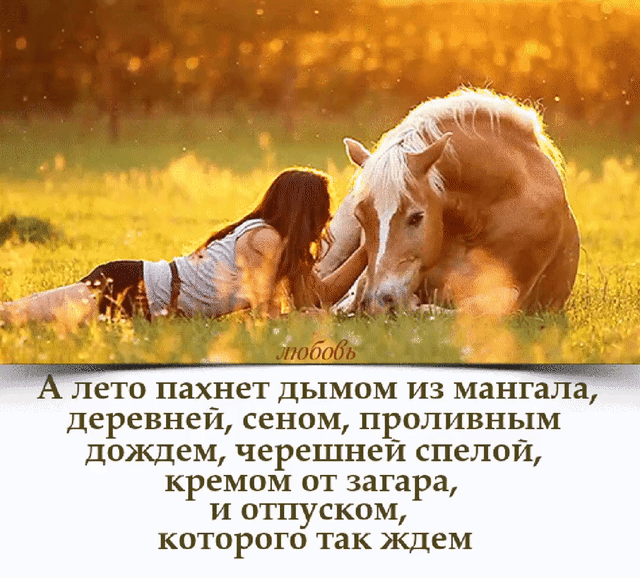 ЛЭТО ПЗХНЕТ ДЬПМОМ ИЗ МЗНГЗЛЗ деревней СНОМ ЦВОЛИВНЧПИ дождем черешнеи СПСЛОИ кремом ОТ загара И ОТПУСКОМ КОТОРОГО ТЗК КДЕМ